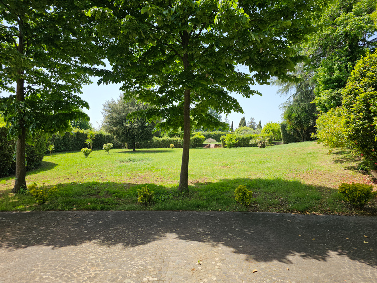 Image 14