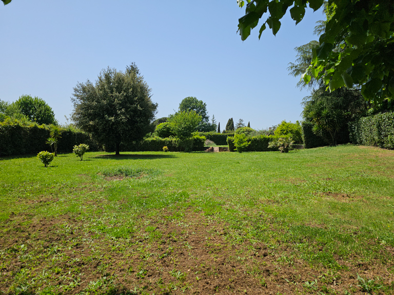 Image 15