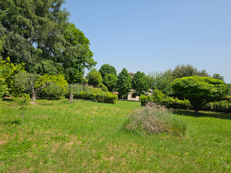 Image 19