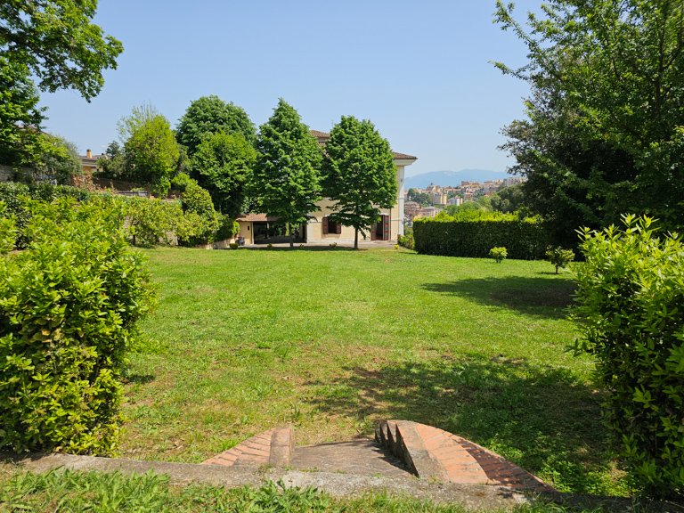Image 20