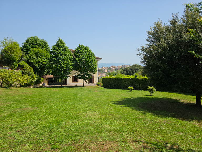 Image 21